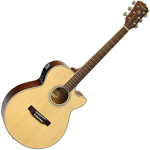Dexter 덱스터<br>DSC-100E N<br>슬림바디/튜너내장EQ