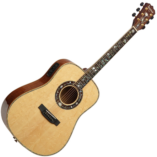 Dexter<br>ZENITH CUSTOM (D Type)<br>L.R.Baggs Notch