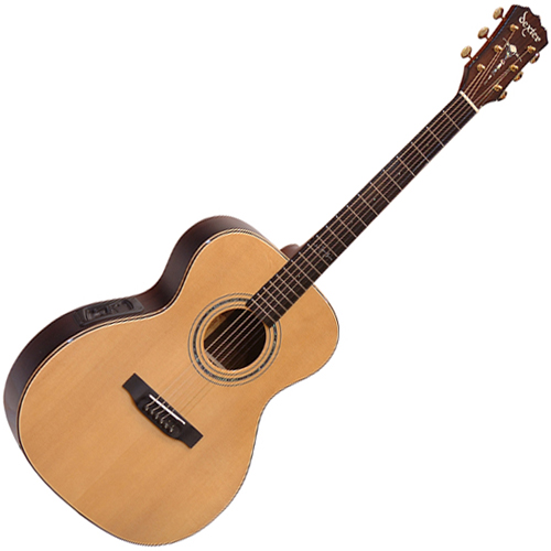 dexter DR-45 OM CUSTOM<br>L.R. Baggs iMix Onboard