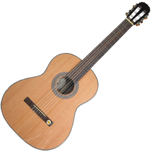 Cort AC-12