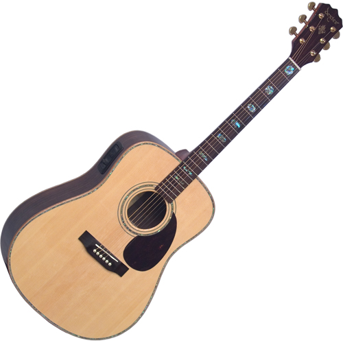 Dexter DD-80SE<br>L.R.Baggs Stage-Pro
