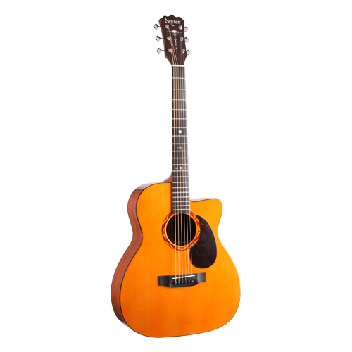 Dexter 덱스터<br>D-JANGO CUSTOM<br>D-장고 커스텀