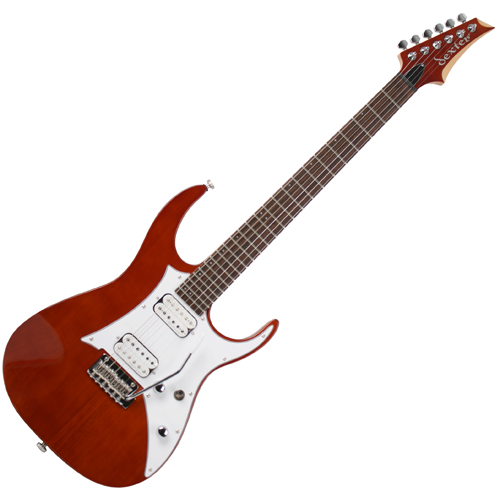Dexter 덱스터 D-900 DB